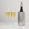 champagne-flute-set-of-2-connoisseur